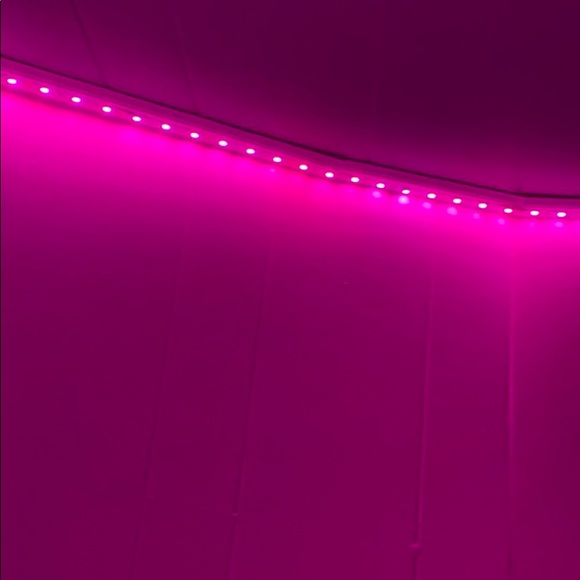 alexis_kopp